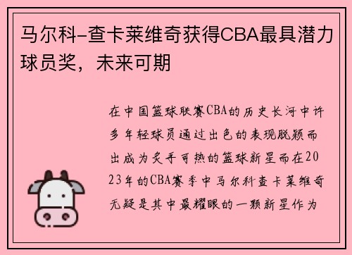 马尔科-查卡莱维奇获得CBA最具潜力球员奖，未来可期